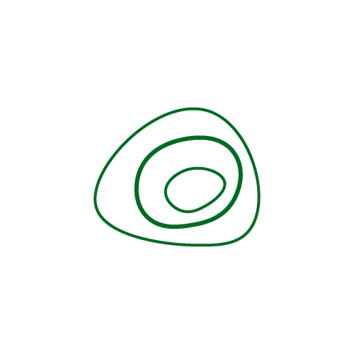 Mino Branding Studio